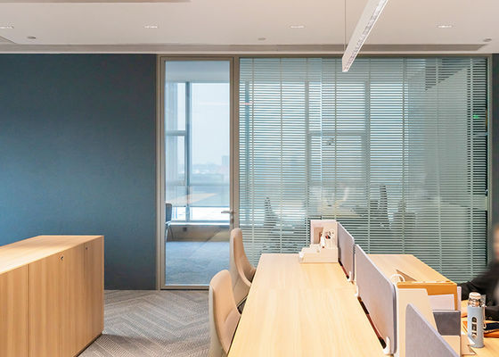 Custom Aluminum Partition Wall with Soundproofing and LED Lighting